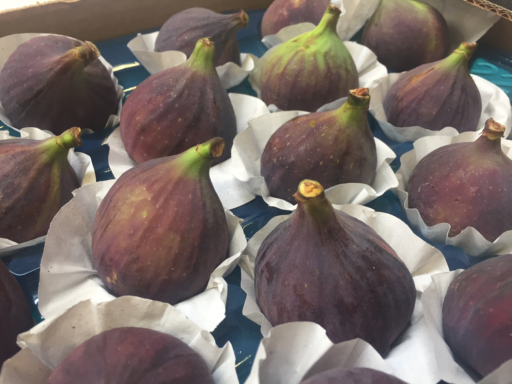 Fresh Figs from Turkey - EFP International